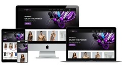 Turnkey Adult Toys Drop Shipping /Affiliate Store Website + Free Hosting