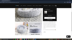 Shopify Website Building