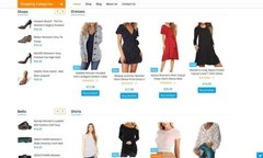 Amazon Affiliate Aliexpress DROPSHIPPING Website For Sale eCommerce Website