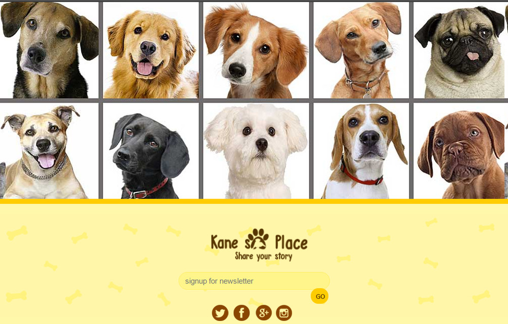 Dog Social Community Website Free Installation+Free Hosting