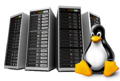 Advanced Performance Hosting – 🚀Unlimited Emails | Fastest cPanel | $14.99/Year