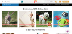 AUTOMATED Dropshipping Website Business For Sale – Professional Niche Store