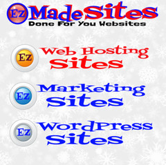 SEO Marketing Tips Niche Blog WordPress-Super Alpha Unlimited Hosting Biz Op Inc