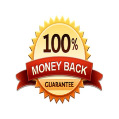 750,000 Real Visitors and SEO Submit Website Web Advertising