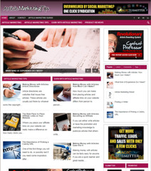 Article Marketing Tips Ready Made Blog Turnkey Niche Website Business for Sale