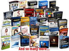 Computer Software Lot 100 Business Building Software w/FREE Month Master Hosting