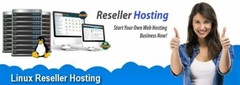 Free Hosting Website Super Alpha Reseller +Free Blog Fast NVMe Servers Free SSL