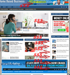 Ready Made Home Business Blog Turnkey Niche Website w/Reseller Hosting Package 2