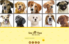 Dog Social Community Website Free Installation+Free Hosting