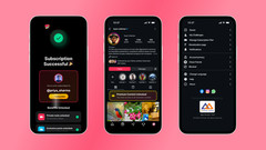 Trendify Flutter Social Media App | Reels, Live Stream, PK Battle, Chat | Laravl