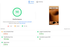 speed up wordpress shopify wix website on google pagespeed insights