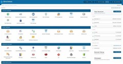 Flash Sale: 13 Months Professional USA Web Hosting-Buy Now before price goes up