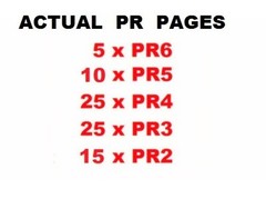 SPECIAL PRICE ! 80 High PR(6-2) Dofollow Backlinks on ACTUAL PR PAGES !!! SEO !
