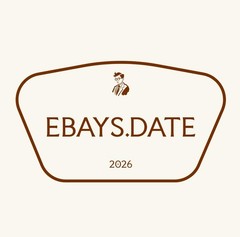 Website Domain Name for Sale eBays.Date 4 Letters-Premium Brand Logo No Reserve