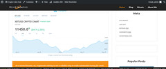 11 Niche Websites for only $497, content and shopping sites