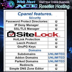 Master Reseller Hosting Free SSL Fast SSD USA Servers 24/7 Support Whitelabel 2