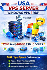 Windows VPS RDP Server 12GB RAM 400GB SSD 1 Year Fast Remote Desktop Hosting