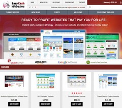 🥇 Turnkey Niche Website Selling Business