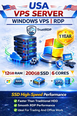 Windows VPS RDP Server 12GB RAM 200GB SSD 1 Year Fast Remote Desktop Hosting