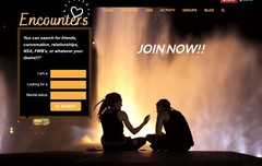 Social, Dating, Website (With 1,000+ 2–6-month-old member profiles installed)