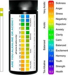 pH Strips for Urine and Saliva Testing – Alkaline 150 Pieces with Ebook NEW