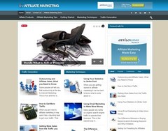 Affiliate Marketing Niche Blog Website WordPress, Amazon and ClickBank Business