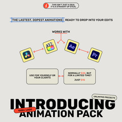 1000+ Logo Animation Bundle | Animated Logo Templates for After Effects, Premier