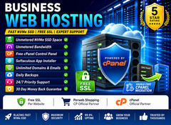 Business Web Hosting – 💻 Unlimited SSD, Free SSL & 24/7 Help | Only $14.99/Year