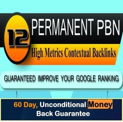 12 Homepage PBN Backlinks to SKYROCKET your SEO Rankings
