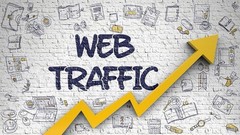 1,000 Targeted Website Visitors |100% Real Website Traffic