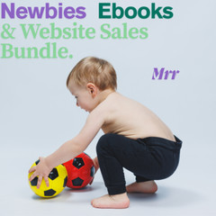 Newbies eBooks , Guides, Website Pages w/MRR License