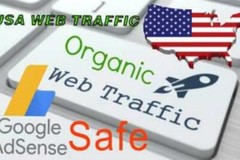 500+ Real USA Visitors to Your Website per Day