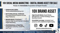 DOMAIN AND Digital marketing ecosystem