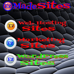 SEO Marketing Tips Niche Blog WordPress-Super Alpha Unlimited Hosting Biz Op Inc