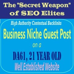 Premium SEO Guest Post on my DA60 Plus Business Blog with Dofollow backlink