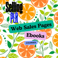 Selling PLR E books, Guides & Courses Plus Splash Pages Make Cash Online Bundle