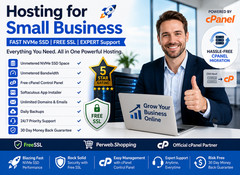 Hosting for Small Business – 🏢 SSD, Support, SSL | Fast Setup | Only $14.99/Yr