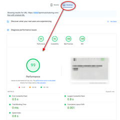 speed up wordpress shopify wix website on google pagespeed insights